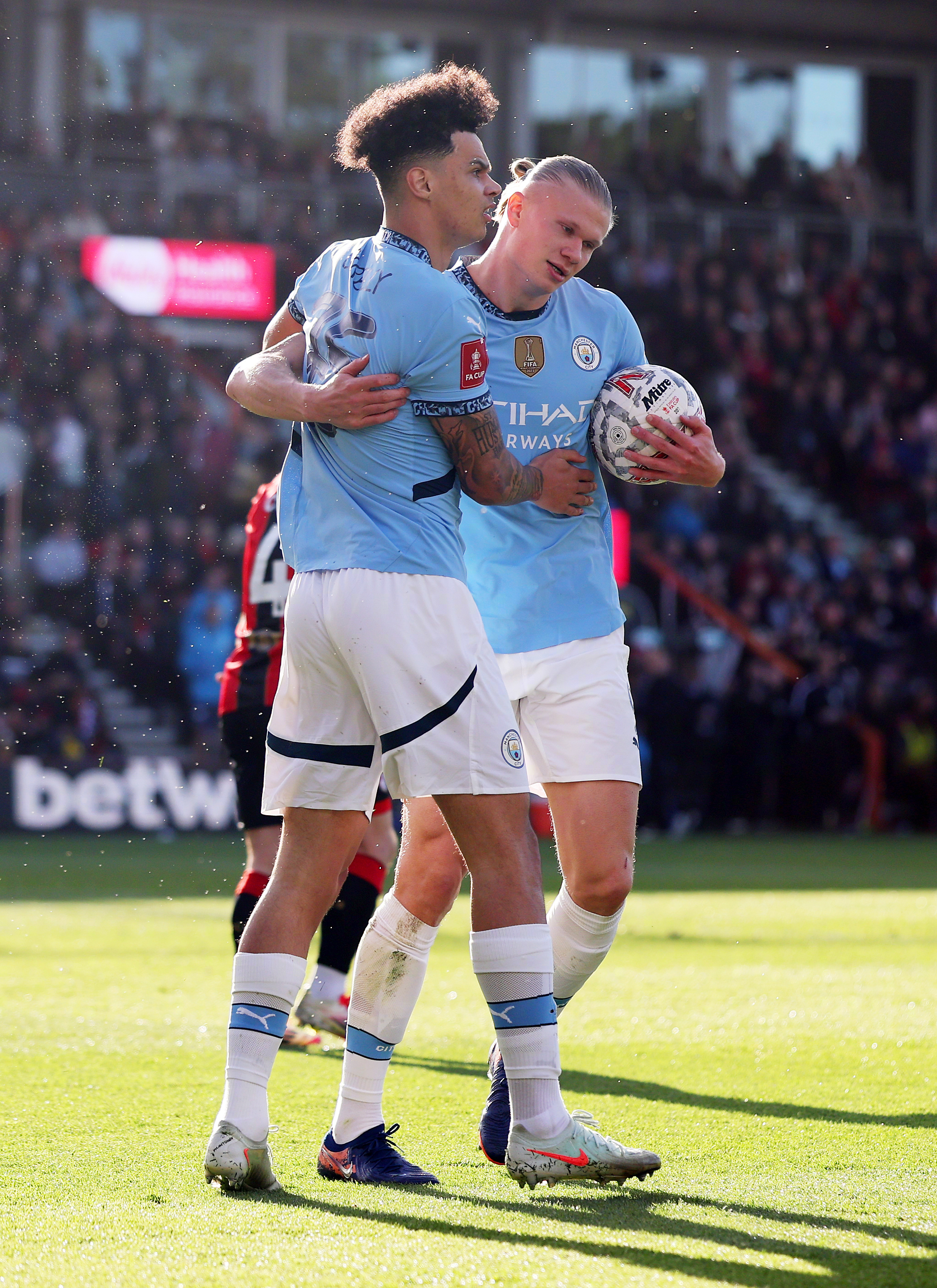  哈兰德职业生涯进球 